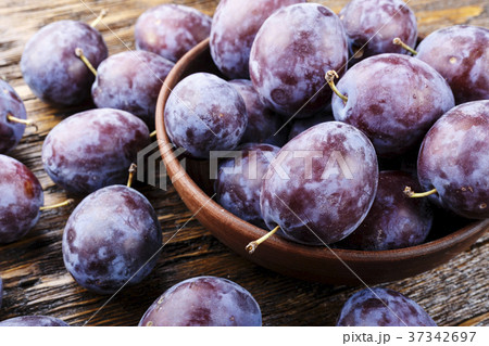 ripe plum ripe plum 37342697