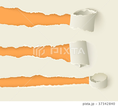 vector torn rolled paper with ripped edges set vector torn rolled paper with ripped edges set 37342840