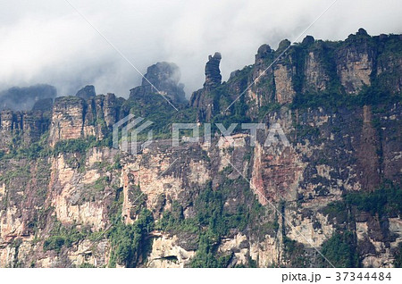 エンジェルフォールへの道 エンジェルフォールへの道 37344484