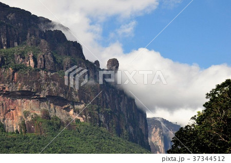 エンジェルフォールへの道 エンジェルフォールへの道 37344512