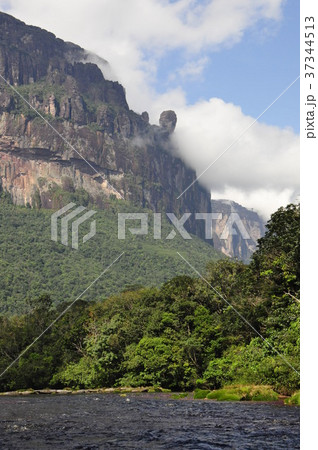 エンジェルフォールへの道 エンジェルフォールへの道 37344513