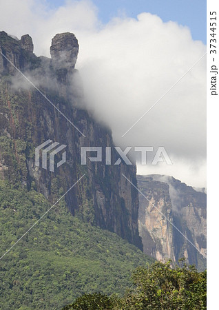 エンジェルフォールへの道 エンジェルフォールへの道 37344515