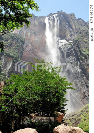 エンジェルフォール エンジェルフォール 37344574