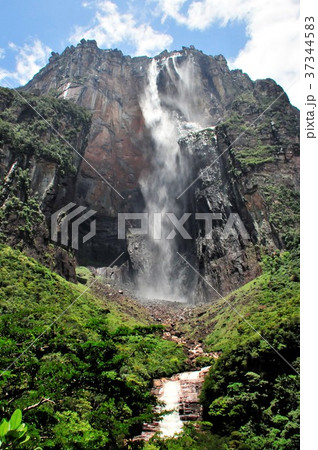 エンジェルフォール 37344583