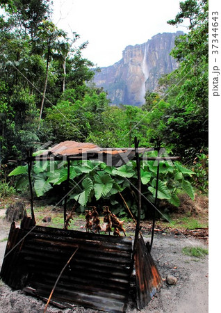 エンジェルフォールへの道 エンジェルフォールへの道 37344643