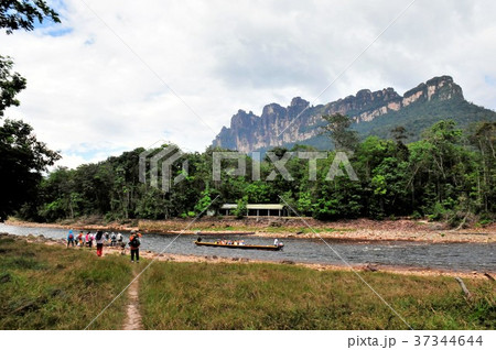 エンジェルフォールへの道 エンジェルフォールへの道 37344644