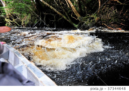 エンジェルフォールへの道 エンジェルフォールへの道 37344648