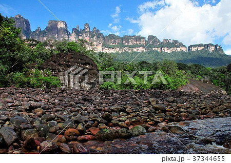 エンジェルフォールへの道 エンジェルフォールへの道 37344655