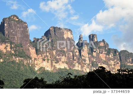 エンジェルフォールへの道 エンジェルフォールへの道 37344659