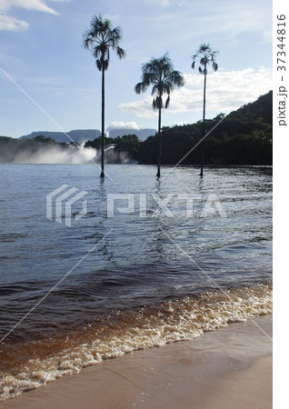 カナイマ湖 カナイマ湖 37344816