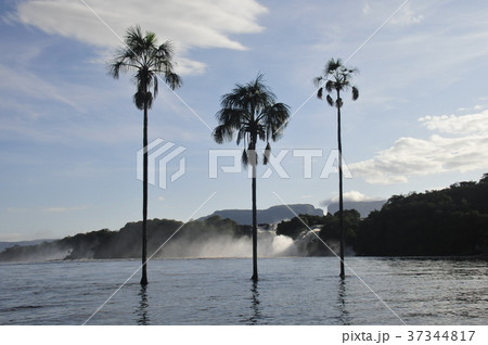 カナイマ湖 カナイマ湖 37344817