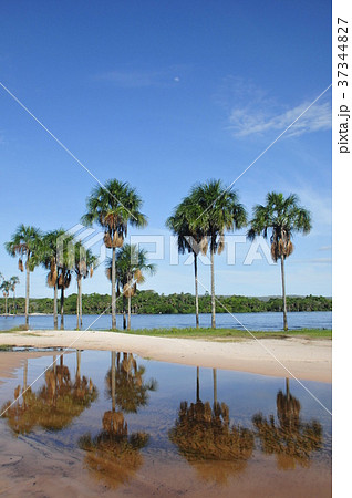 カナイマ湖 37344827