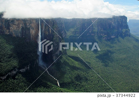 エンジェルフォール エンジェルフォール 37344922