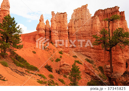 Panorama from Bryce Canyon National Park, USA 37345825