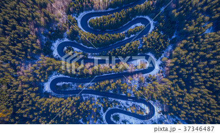 Curved road trough the forest 37346487