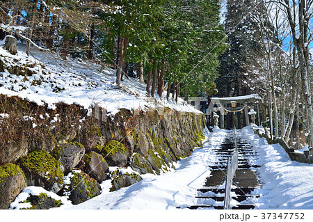 飛騨古川 冬の気多若宮神社 37347752