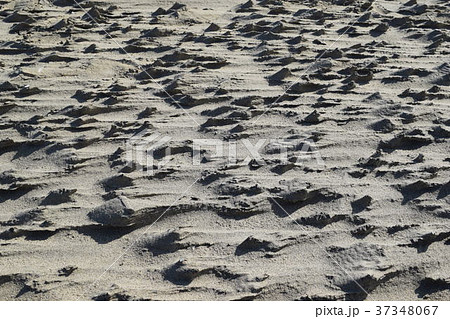 砂柱 砂柱 37348067