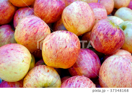 Fresh apples pink, 37348168