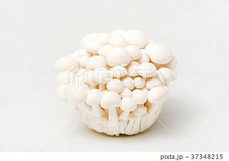 白ブナシメジ 37348215