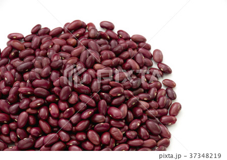 金時豆 金時豆 37348219