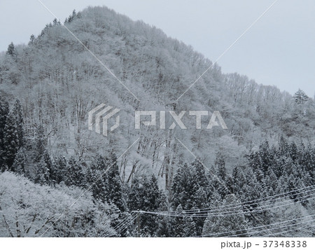 冬の秋田県　雪景色 37348338