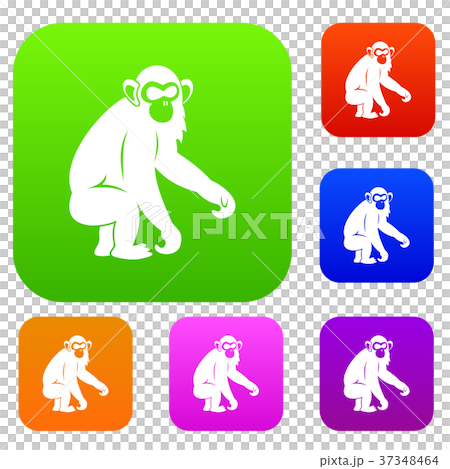 Macaque set color collection Macaque set color collection 37348464
