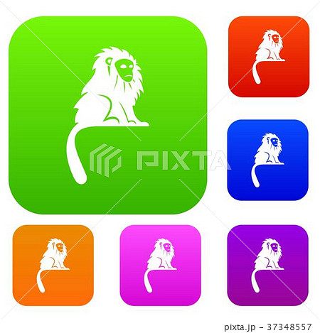 Hairy monkey set color collection 37348557