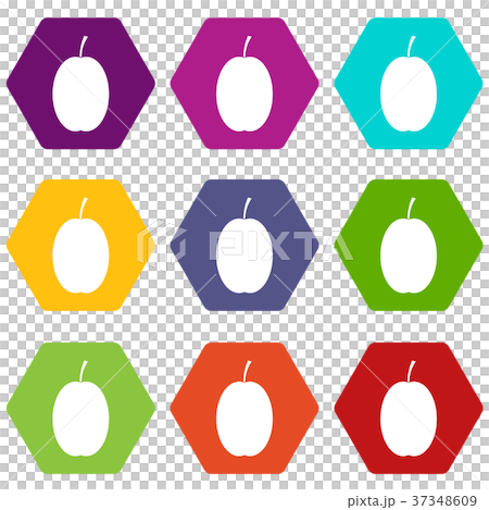 Plum icon set color hexahedron 37348609