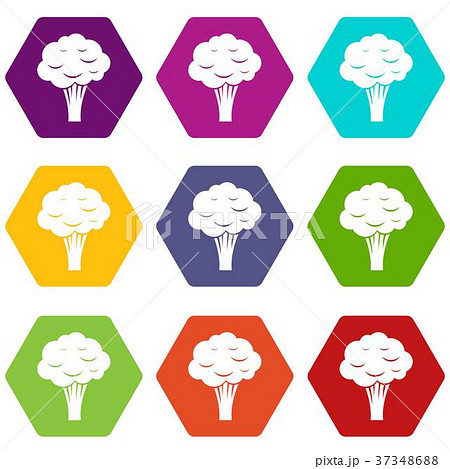 Broccoli icon set color hexahedron 37348688