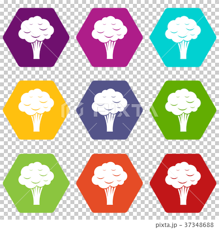 Broccoli icon set color hexahedron Broccoli icon set color hexahedron 37348688