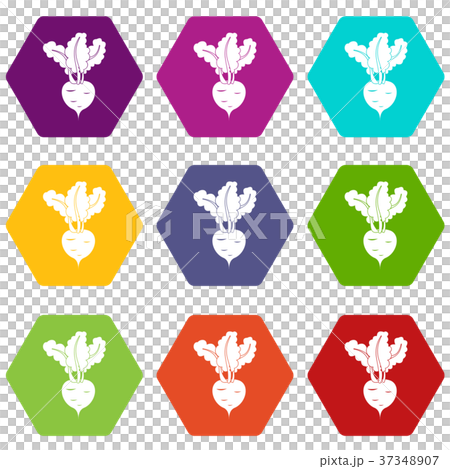 Fresh beetroot icon set color hexahedron 37348907