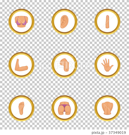 Body parts icons set, cartoon style - Stock Illustration [37349019] - PIXTA