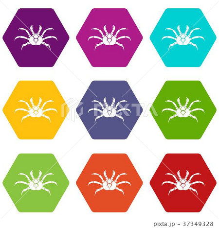 Crab icon set color hexahedron Crab icon set color hexahedron 37349328