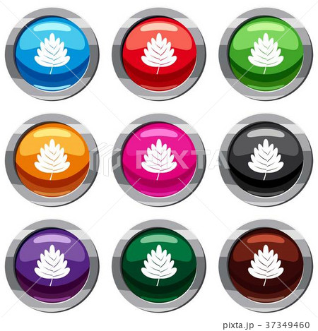 Hawthorn leaf set 9 collection 37349460