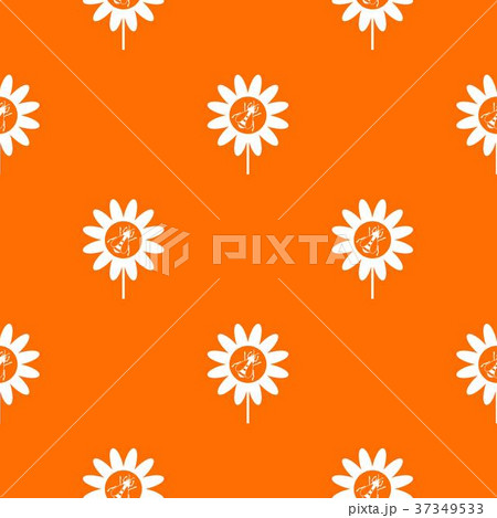 Bee on flower pattern seamless 37349533