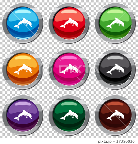 Jumping dolphin set 9 collection 37350036
