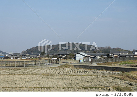 伝飛鳥板葺宮跡からみや天香具山 伝飛鳥板葺宮跡からみや天香具山 37350099