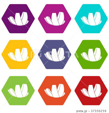 ArtScience Museum in Singapore icon set color hexahedron 37350259