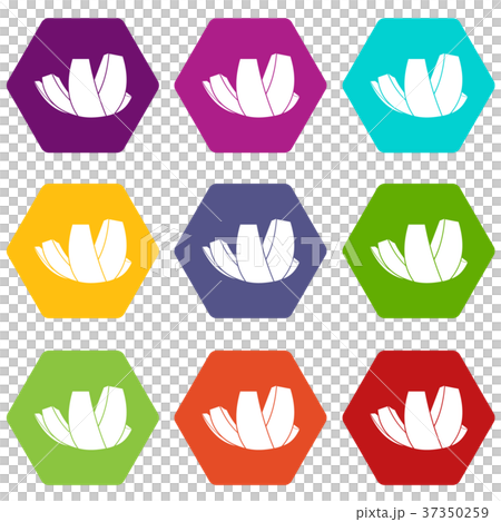 ArtScience Museum in Singapore icon set color hexahedron 37350259