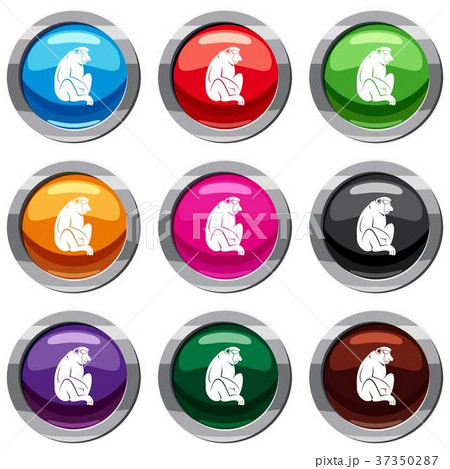 Orangutan set 9 collection Orangutan set 9 collection 37350287