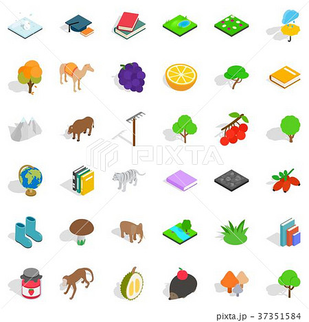Camel icons set, isometric style 37351584