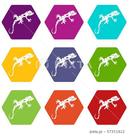 Chameleon icon set color hexahedron 37351822