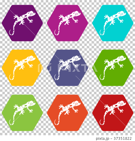 Chameleon icon set color hexahedron 37351822