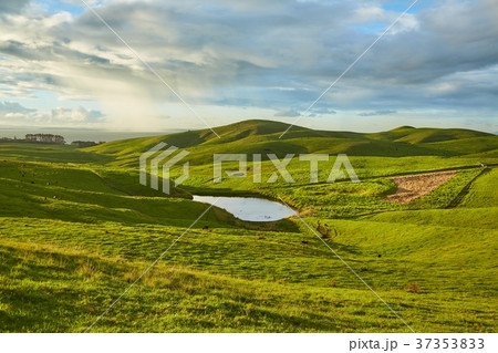 Green landscape in New Zealand Green landscape in New Zealand 37353833