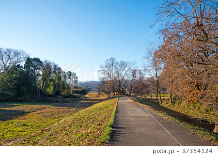 鉢形城跡　　鉢形城公園　土塁 37354124