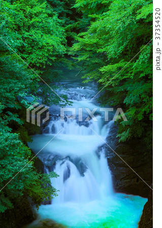 鳳鳴四十八滝 37354520