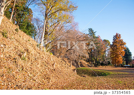 鉢形城跡　　鉢形城公園　土塁 37354565