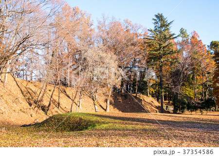 鉢形城跡 鉢形城公園 土塁 鉢形城跡 鉢形城公園 土塁 37354586