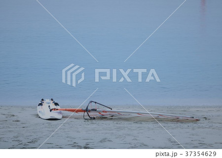 海の想い出~ウインドサーフィン~ 海の想い出~ウインドサーフィン~ 37354629
