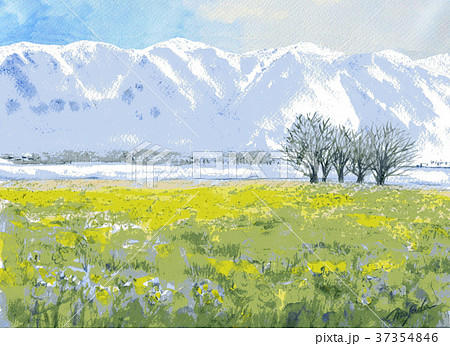 滋賀県の魅力 早春の比良山と菜の花畑 スケッチ 滋賀県の魅力 早春の比良山と菜の花畑 スケッチ 37354846